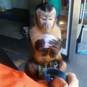 Meet your Posher, Steve